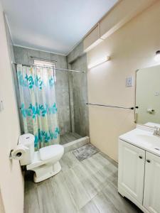 圣乔治SeaLaVie Apartments - Grenada的一间带卫生间和水槽的浴室