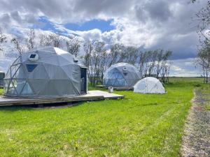 海拉Iceland Igloo Village的两顶帐篷,位于草地上,有一条道路