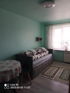 索利纳Noclegi MAJA的一间带床的卧室,位于带窗户的房间内