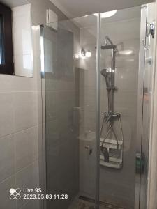 索利纳Noclegi MAJA的浴室里设有玻璃门淋浴