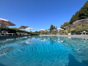 蒙塔约内Antico Casale Rodilosso的一个带椅子和遮阳伞的大型蓝色海水游泳池