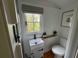 博德明Cornwall Woodland Dog Friendly Shepherd's Hut的一间带卫生间、水槽和窗户的浴室