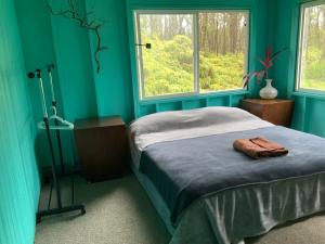 芒廷维尤Simple Rustic studio deluxe bed in tropical fruits garden的一间蓝色卧室,配有床和2个窗户