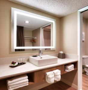 尔湾奥兰治县中庭酒店的一间带水槽和镜子的浴室