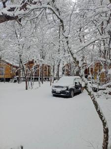 拉斯特朗卡斯Cabañas Huilipan的停在雪地里的一个院子中的汽车