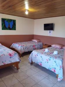 蒙泰韦尔德哥斯达黎加普斯塔德索住宿加早餐旅馆的客房设有两张床和一台墙上的电视。