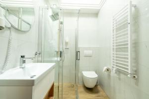 什切尔克阿尔品酒店的带淋浴、盥洗盆和卫生间的浴室