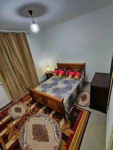 贝贾亚BEJAIA Location Appartement de 45 à 59e的一间卧室配有一张床和地毯