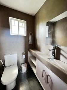 大雅台Serenity Home near Ayala Malls Serin的一间带卫生间、水槽和窗户的浴室