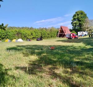 卡斯塔莫努Balabanağa Çiftliği Camping的草丛中一片田野,有帐篷和狗