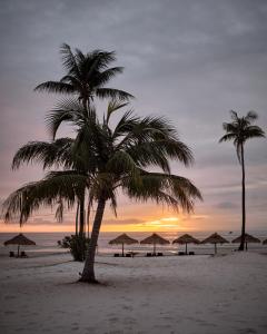 瓜隆岛Sweet Dreams Koh Rong的日落时分海滩上的两棵棕榈树和遮阳伞