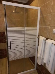 亚历山大Jewel San Stefano Hotel的一间带玻璃门的淋浴和毛巾的浴室