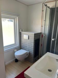 伊卢利萨特Jomsborg Ilulissat的浴室配有卫生间、盥洗盆和浴缸。