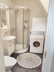 HaverdalHaverdal Villa och sommarstuga的带淋浴水槽和洗衣机的浴室