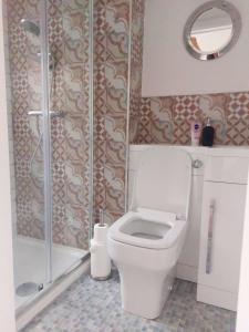 滨海索尔特本LetAway - Yonge's Place Saltburn的一间带卫生间和淋浴的浴室