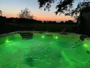 DalerveenWellnesslodge Specht的后院的绿色热水浴池,配有绿灯