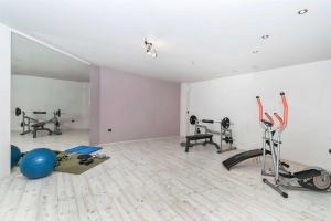 KučineVilla Nimado的一间健身房,里面设有数个健身器材