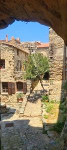 LamaLa Casa Monti au coeur du village de Lama的一座古老的石头建筑,前面有一棵树