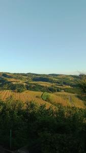 希尼奥B&B La Buonora的蓝色天空的耕地景色