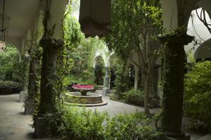 圣米格尔-德阿连德圣米格尔米西翁酒店的花园拥有喷泉和树木及植物