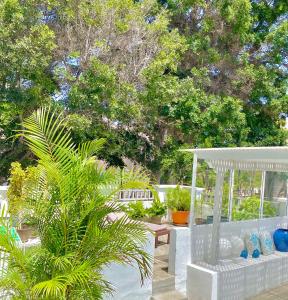 San AndrésCasa Costera Fragata的一个带白色凉亭和棕榈树的庭院