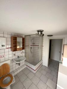 GronauDemir Pension的带淋浴、卫生间和盥洗盆的浴室