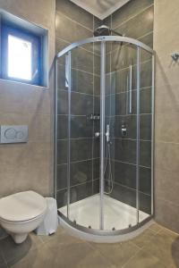 奇波斯阿费提Michaliou Kipos Luxury Villas的设有带卫生间的浴室内的淋浴间
