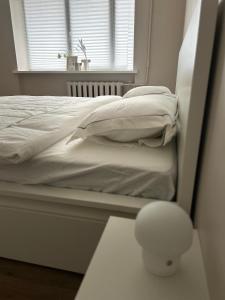 萨尔杜斯Skandi Appartments in Saldus city center的窗户客房内的一张白色床