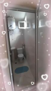 茨卡尔图博gogia的一间带卫生间和淋浴的小浴室