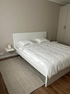 萨尔杜斯Skandi Appartments in Saldus city center的卧室内的一张带两个枕头的白色床