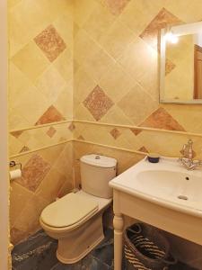 迪南Val Rive - Fryer Apartment的一间带卫生间和水槽的浴室