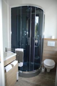 DohanB&B Le Courtil的带淋浴和卫生间的浴室