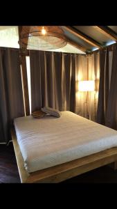 塞拉瓦莱皮斯托耶塞AgriGlamping La Diaccia的一间卧室配有一张带天蓬和灯的床