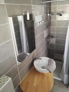 维克拉加尔迪奥勒保护区酒店的一间带水槽和淋浴的浴室