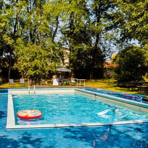 Villa Trigatti Udine Galleriano的水中一个游泳池,上面有红薯条