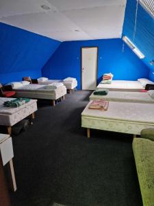 奥泰佩Annimatsi Camping的一间设有四张床的客房,位于一间蓝色墙壁的房间