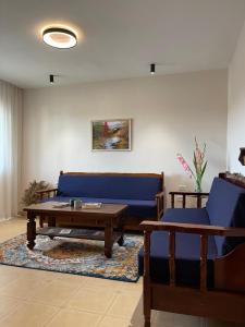 斯库台Leo’s apartment的客厅配有蓝色的沙发和茶几