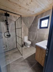 卡夫尼克A Frame Chalet By Superski的带淋浴、卫生间和盥洗盆的浴室