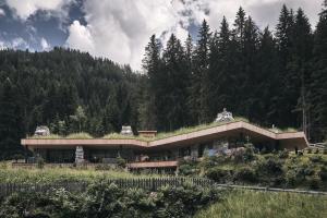 拉辛Tenne Chalet的山顶上草屋顶的房子