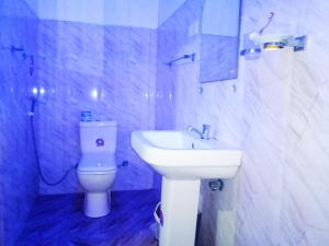 锡吉里亚Sigiriya Rock Gate Resort的一间带水槽和卫生间的浴室