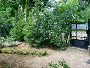 鲍洛通塞迈什Nyugalom Szigete的通往树木和灌木花园的大门