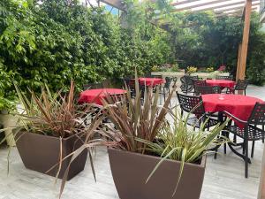 阿科Agritur Girasole的户外庭院设有桌椅和植物