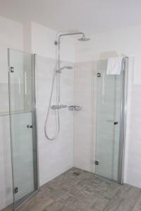 博德卢姆Landhaus Sterdebüll的带淋浴和玻璃淋浴间的浴室