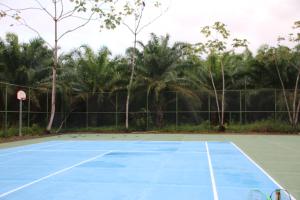 奎波斯城Tropical Bliss Pool Wi-Fi BBQ Near Quepos Manuel Antonio的网球场,上面有两把网球拍