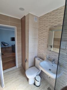 内塞伯尔Flowers Apartments的一间带卫生间和水槽的浴室