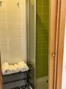 阿威罗Smart Living的浴室内提供毛巾架淋浴