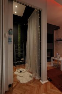 巴亚马雷Eagle's Nest Short Stay的一间设有白色窗帘的窗户的房间
