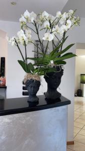 阿科Agritur Girasole的花瓶,在柜台上装有白色花朵