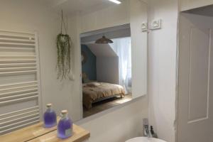 贝桑松Charmant cocon centre historique的一间镜子浴室和一张位于客房内的床