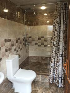 HalidzorSyunyats guest house的一间带卫生间和淋浴的浴室